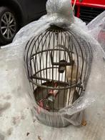 cage à perroquet, Animaux & Accessoires, Oiseaux | Cages & Volières, Enlèvement, Utilisé, Métal, Volière
