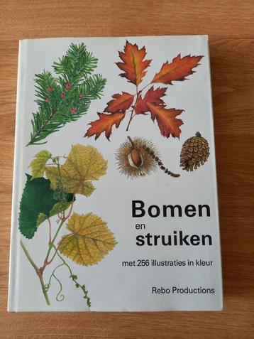BOMEN EN STRUIKEN ❤️🧡💛💚 beschikbaar voor biedingen