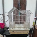 Vogelkooi in goede staat, Ophalen, Zo goed als nieuw, Vogelkooi
