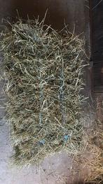 Kleine balen hooi +-12-15kg, Zakelijke goederen, Landbouw | Veevoer, Ophalen