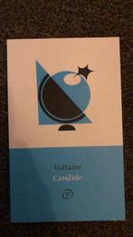 Voltaire - Candide of het optimisme, Enlèvement, Voltaire