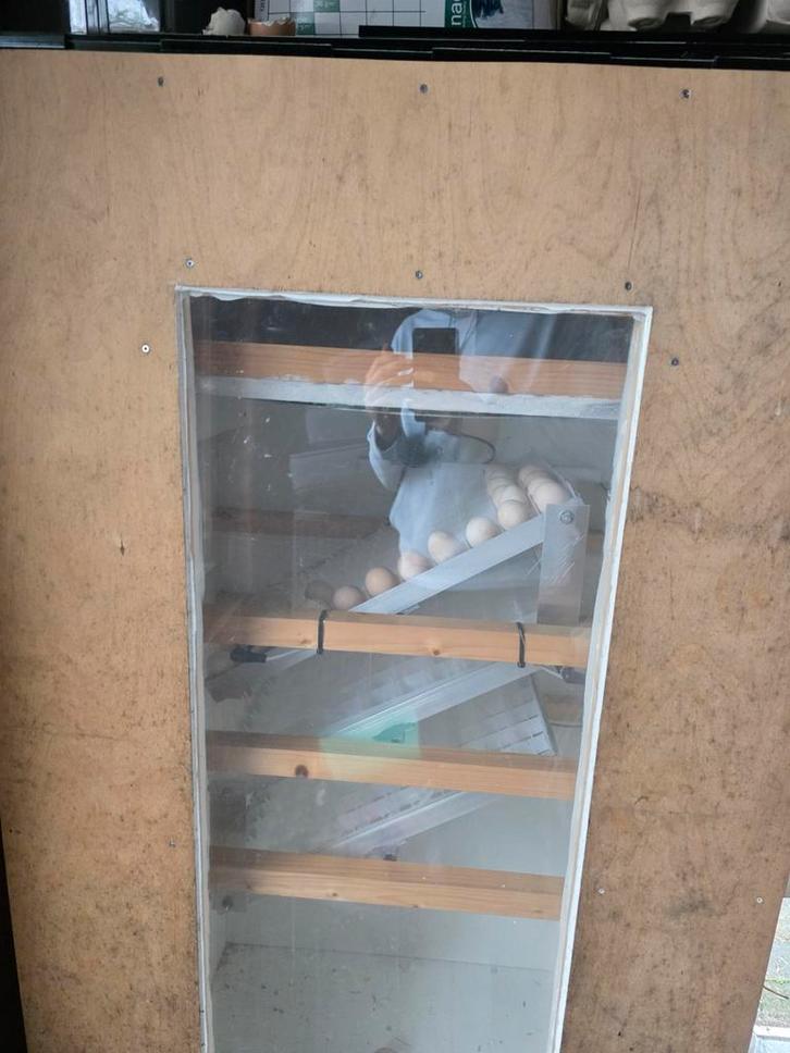 Broedmachine 264 eieren, Animaux & Accessoires, Volatiles | Accessoires, Couveuse, Enlèvement ou Envoi