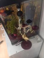 Karsenhouder ster voor kerst, Ophalen, Zo goed als nieuw