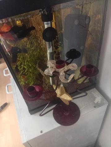 Karsenhouder ster voor kerst beschikbaar voor biedingen