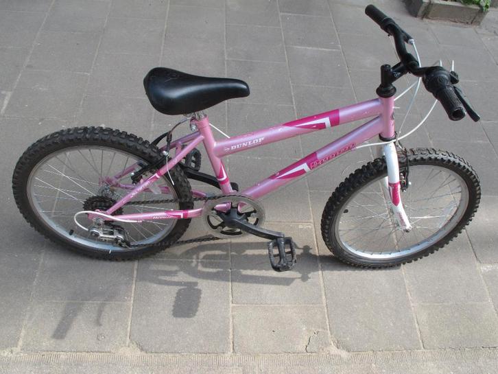 Fiets voor meisjes, Fietsen en Brommers, Fietsen | Meisjes, Zo goed als nieuw, 20 inch, Handrem, Versnellingen, Ophalen