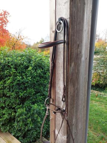 Leren bit met hoofdstel beschikbaar voor biedingen