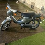 Originele wallaroo de luxe a klasse met alle papieren, Enlèvement