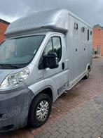 Paardencamionette te koop, Dieren en Toebehoren, Ophalen of Verzenden