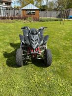 Yamaha raptor 350, 350 cm³