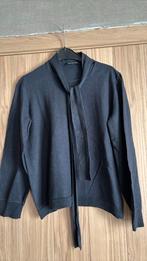 Luisa Cerano trui 44 (tailleert kleiner), Kleding | Dames, Ophalen of Verzenden, Gedragen