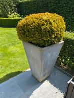 2 Stenen grijze bloempotten n 90 cm hoog op 60 /60, Tuin en Terras, Ophalen