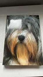 De hond, een mensenvriend, Ophalen of Verzenden, Zo goed als nieuw