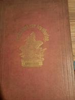 Gedenkboek van den oorlog in 1870-1871 - August Snieders, Antiek en Kunst, Ophalen of Verzenden, August Snieders