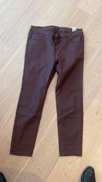 Nieuwe strechy broek burgundy 48 nieuwe collectie, Kleding | Dames, Broeken en Pantalons, Ophalen of Verzenden, Zo goed als nieuw