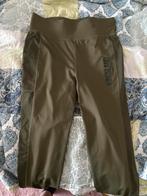 nieuwe kingsland rijbroek, Kleding | Dames, Kingsland, Maat 42/44 (L), Ophalen of Verzenden, Zo goed als nieuw