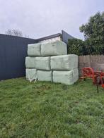 voordroog grote pakken, Dieren en Toebehoren, Ophalen, Vee