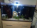 Aquarium 60/30/32 complet, Enlèvement, Utilisé, Aquarium d'eau douce rempli