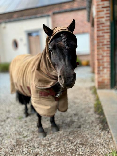 Gezocht! Eczeem deken (liefst rambo) 125 ondermaat (4’0), Dieren en Toebehoren, Paarden en Pony's | Dekens en Dekjes, Gebruikt