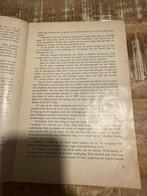 Gids voor het kasteel van Beersel, Ophalen of Verzenden, Benelux, Brochure, Gelezen