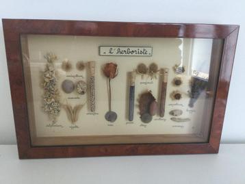 Handgemaakt houten frame „The Herbalist” beschikbaar voor biedingen
