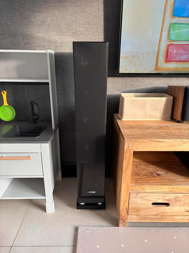 Canton chrono sl 580dc, Audio, Tv en Foto, Luidsprekerboxen, Gebruikt, Front, Rear of Stereo speakers, 120 watt of meer, Ophalen