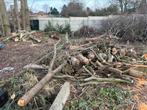 Abattage d arbres, Jardin & Terrasse