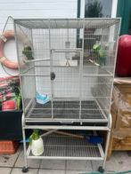 Grote papegaaienkooi op wieltjes – stevige kwaliteit, Ophalen, Zo goed als nieuw