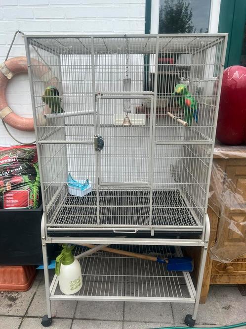 Grote papegaaienkooi op wieltjes – stevige kwaliteit, Dieren en Toebehoren, Vogels | Hokken en Kooien, Zo goed als nieuw, Ophalen