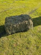 Hooi te koop, Dieren en Toebehoren, Ophalen