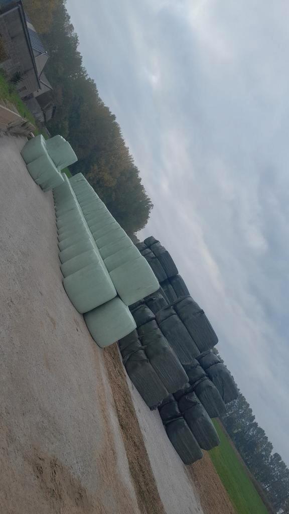 Mais mks balen stro voeder bieten, Dieren en Toebehoren, Runderen