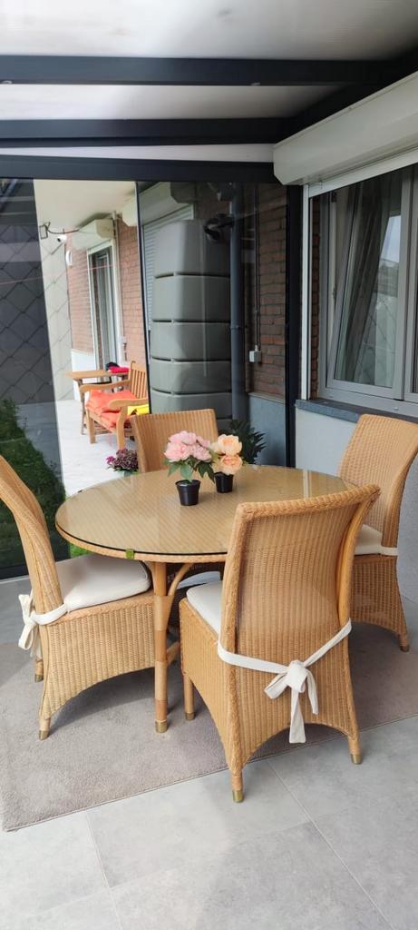 Stijlvolle rotan tuinset, Tuin en Terras, Tuinsets en Loungesets, Zo goed als nieuw, Tuinset, Rotan, Ophalen