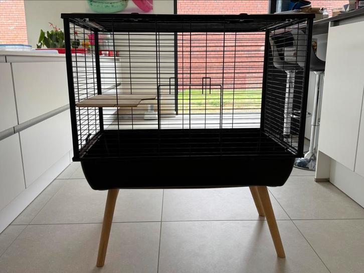 Dwergkonijn starterspakket, kooi, voeding, accessoires,…, Dieren en Toebehoren, Knaagdieren en Konijnen | Hokken en Kooien, Zo goed als nieuw