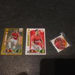 Youri Tielemans Adrenalyn Panini 18-19, Ophalen of Verzenden, Gebruikt