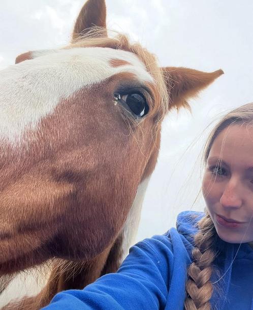 Ruiter/hulp aangeboden, Dieren en Toebehoren, Paarden en Pony's | Overige Paardenspullen, Ophalen
