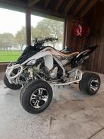 Yamaha raptor 700 SE., Motoren