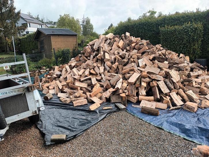 Payement à la livraison Bois vrac, Box ou Palette de buches, Tuin en Terras, Brandhout, Blokken, Beukenhout, 6 m³ of meer, Verzenden