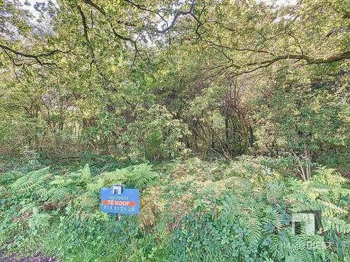 Grond te koop in Tessenderlo-Ham, Immo, Gronden en Bouwgronden, 1500 m² of meer
