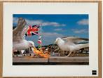 Martin Parr West Bay, Dorset, Engeland 1996, Antiek en Kunst, Kunst | Tekeningen en Fotografie, Ophalen of Verzenden