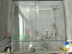 A vendre terrarium, Dieren en Toebehoren, Ophalen, Gebruikt, Terrarium of Paludarium