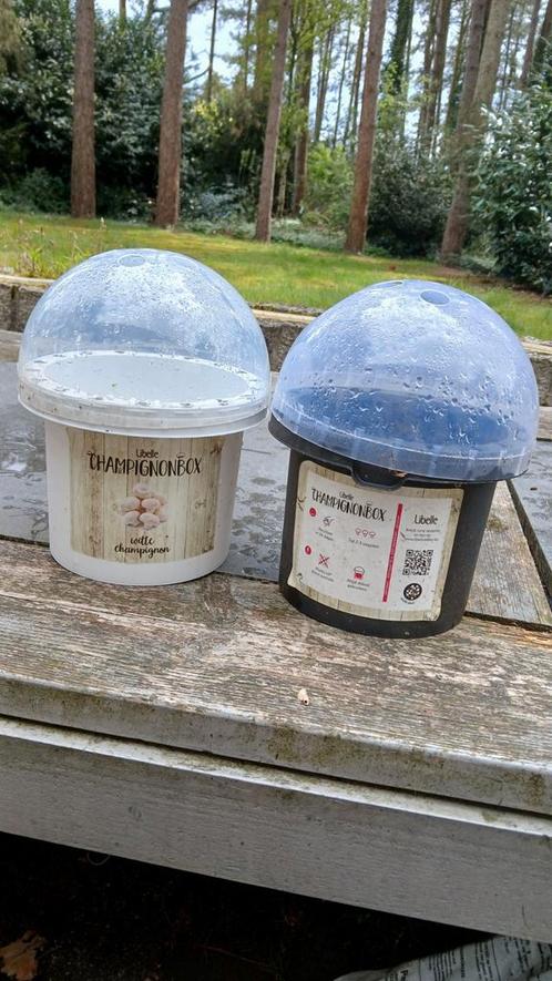 2 champignon kweekpotten - bloempot met deksel, Tuin en Terras, Kweekspullen, Gebruikt, Ophalen