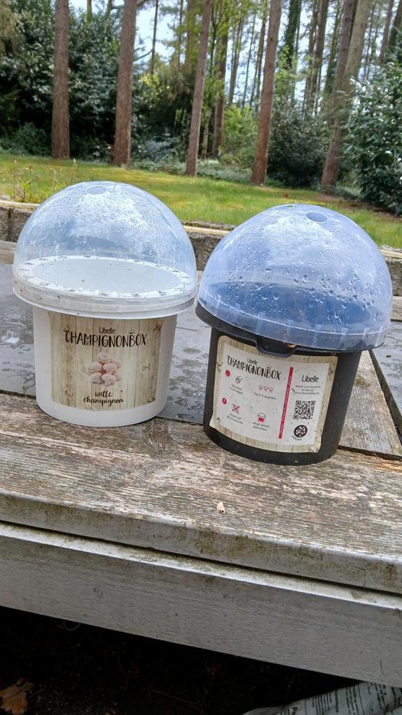 2 champignon kweekpotten - bloempot met deksel, Tuin en Terras, Kweekspullen, Gebruikt, Ophalen