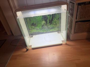 Vompleet asarium beschikbaar voor biedingen