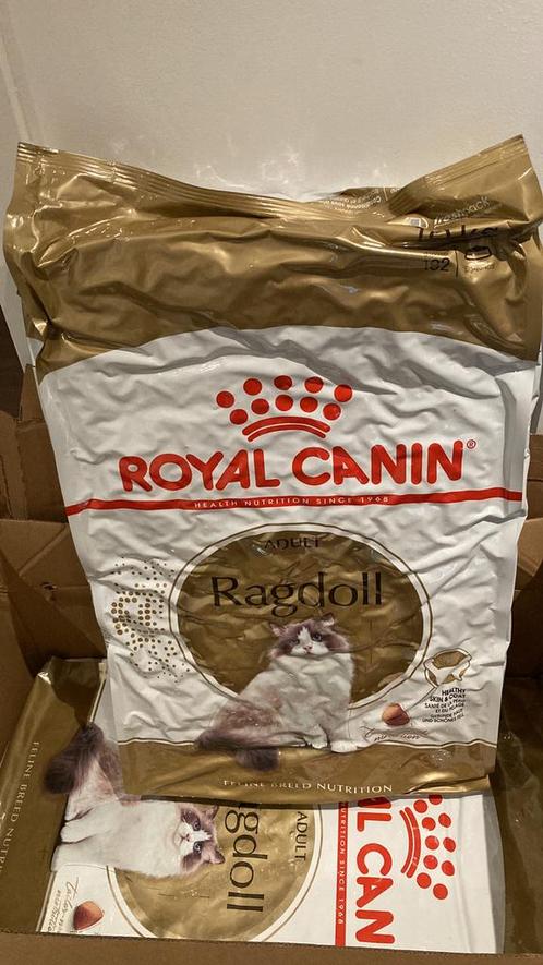 Royal Canin droge voeding Ragdoll, Dieren en Toebehoren, Dierenvoeding, Ophalen