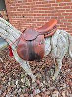 Prachtige butet 16.5 inch, Dieren en Toebehoren, Ophalen of Verzenden, Zo goed als nieuw, Springen