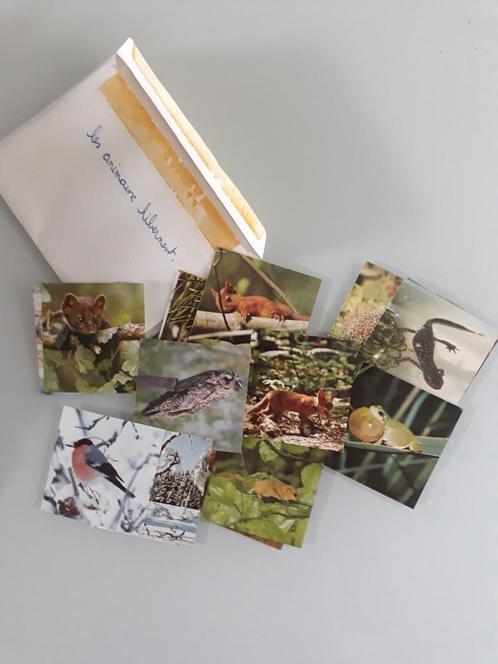 Cartes Artis historia, Collections, Cartes postales | Thème, Non affranchie, 1960 à 1980, Nature, Enlèvement ou Envoi