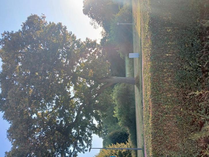 Cherche indépendant entretien de jardins avec jour fixe, Vacatures, Vacatures | Landbouw, Natuur en Milieu