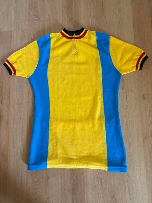 Vintage wielershirt koerstrui Tricots du Rocher, Fietsen en Brommers, Fietsaccessoires | Fietskleding, Zo goed als nieuw, M, Ophalen of Verzenden