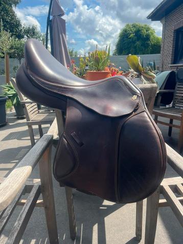 Massimo Saltatore – 17,5 inch – 32 cm boom – Donkerbruin beschikbaar voor biedingen