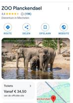 Zoo planckendael 2 tickets, Tickets en Kaartjes, Twee personen, Ticket of Toegangskaart