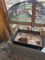 Vogelkooi, Enlèvement, Cage à oiseaux